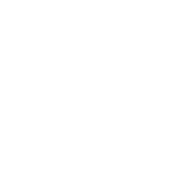 Secure service process and protection icon