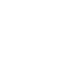 Certified service quality guarantee badge icon