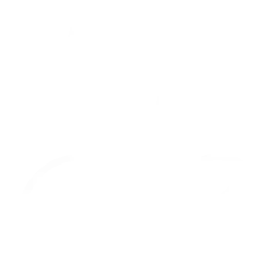 Professional worker and certified installer icon